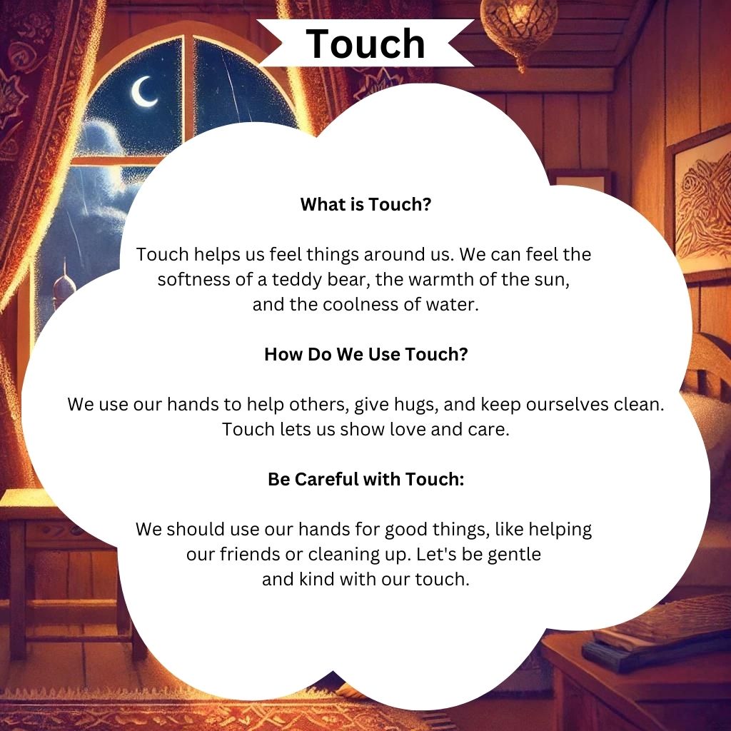 Learning About Five Senses