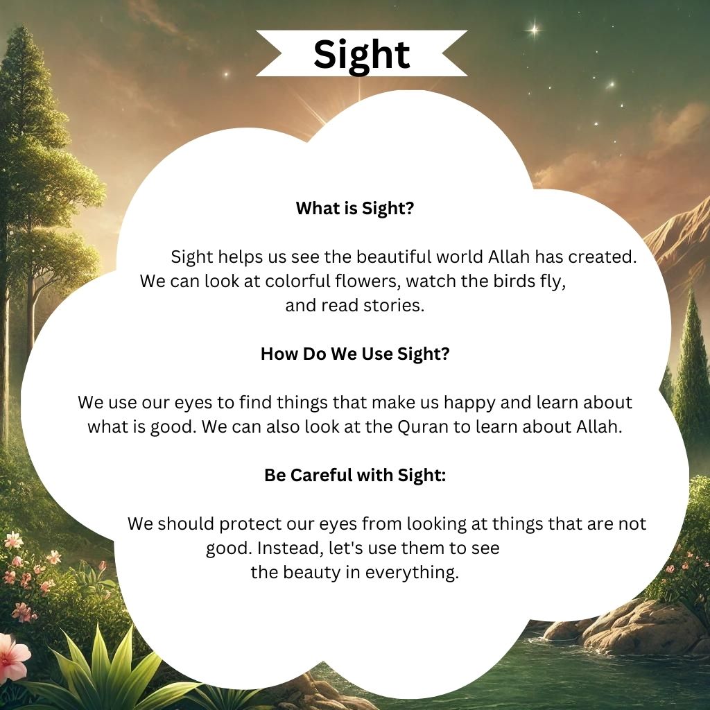 Learning About Five Senses